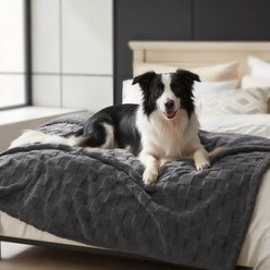 AIPERRO Waterproof Cat & Dog Throw Blanket, Grey, X-Large