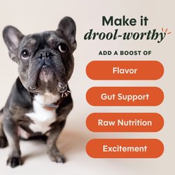 Instinct RawBoost Shakers Gut Health Chicken Recipe Grain-Free Freeze-Dried Dog Food Topper, 5.5-oz bottle slide 2 of 9