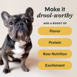 Instinct Raw Boost Shakers Cage-Free Chicken Recipe Grain-Free Freeze-Dried Dog Food Topper, 5.5-oz bottle slide 2 of 9