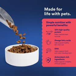 Chewy Made Complete Nutrition High Protein Grain-Free Beef & Sweet Potato Recipe Dry Dog Food (FORMERLY AMERICAN JOURNEY), 48-lb bundle slide 2 of 8