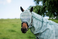Horseware Newmarket No Ears Horse Fly Mask, Witney Dynasty, Cob slide 2 of 7