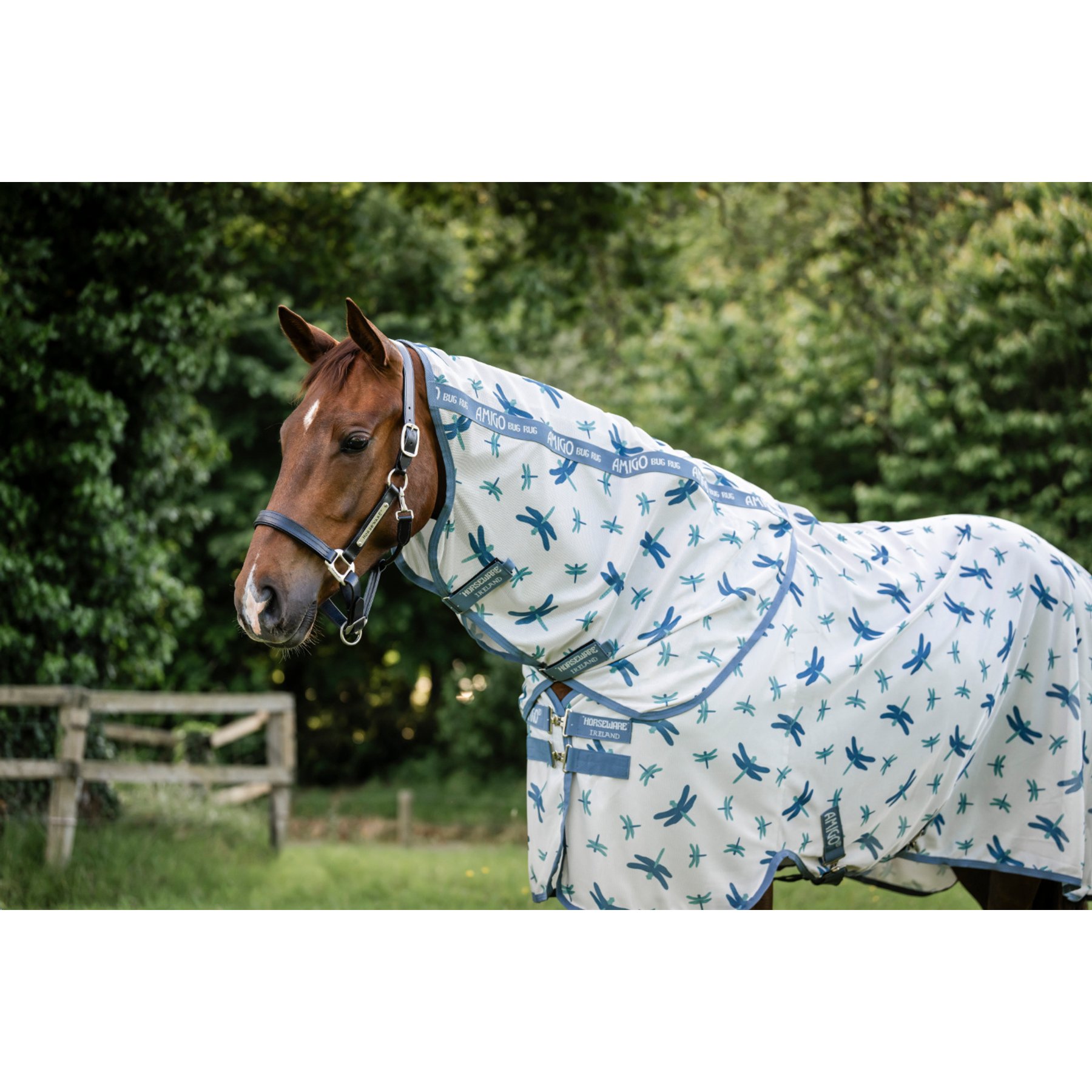 Horseware Amigo Bug Rug Plus Horse Fly Sheet, Dragonfly Print/Silver, Blue & Sage, 72-in