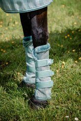 Horseware Newmarket Horse Fly Boots, Witney Dynasty, Small, 2 count