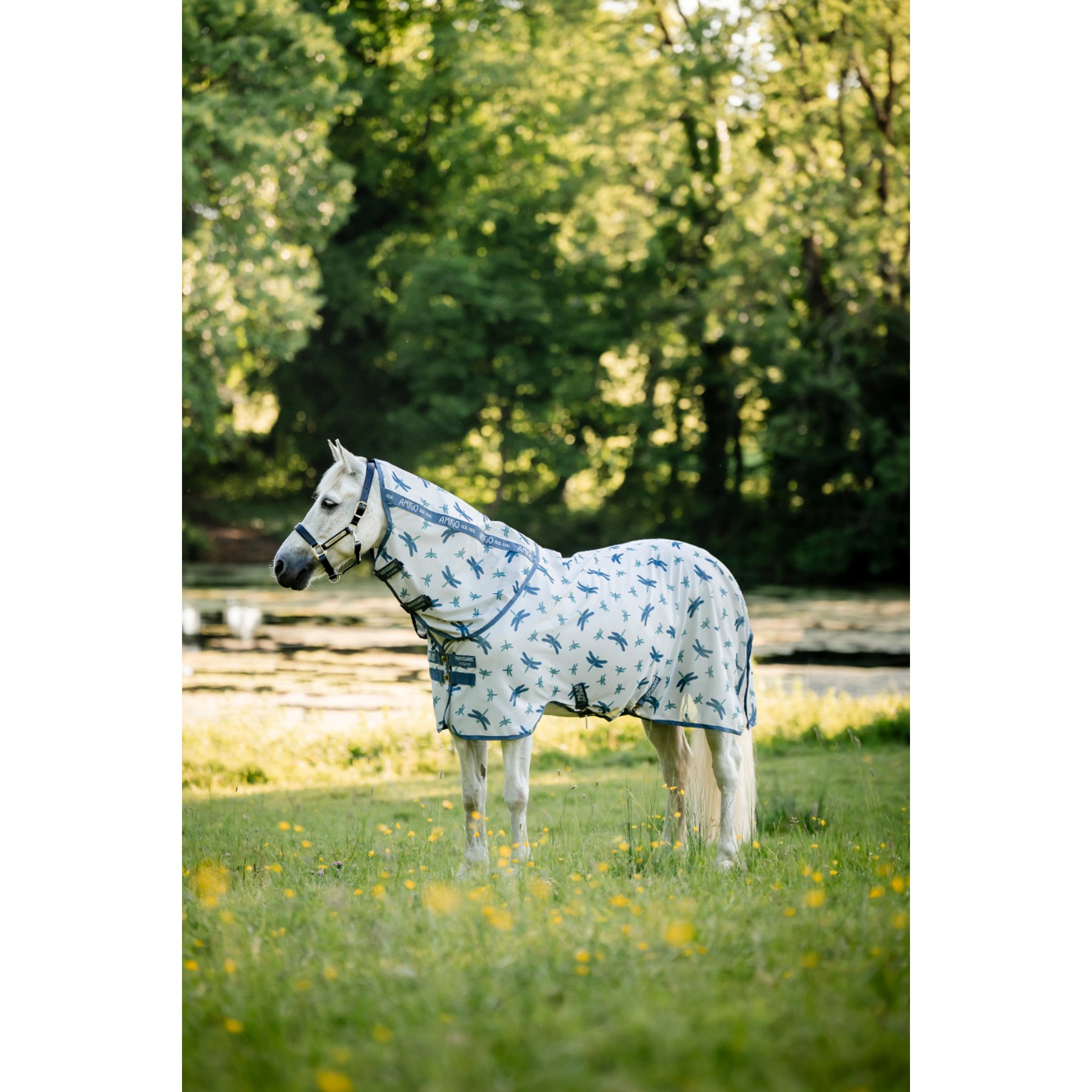 Horseware Amigo Bug Rug Plus Pony Horse Fly Sheet, Dragonfly Print/Silver, Blue & Sage, 54-in