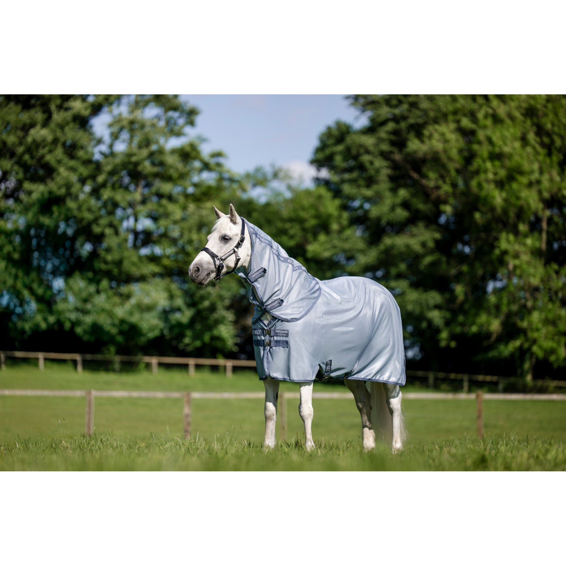 Horseware Amigo Bug Rug Plus Pony Horse Fly Sheet, Heather Blue/Blue & Silver, 57-in