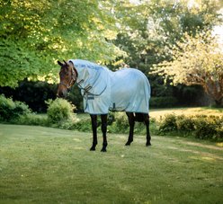 Horseware Integrated Horse Fly Sheet, Heather Blue/Blue & Silver, 66-in