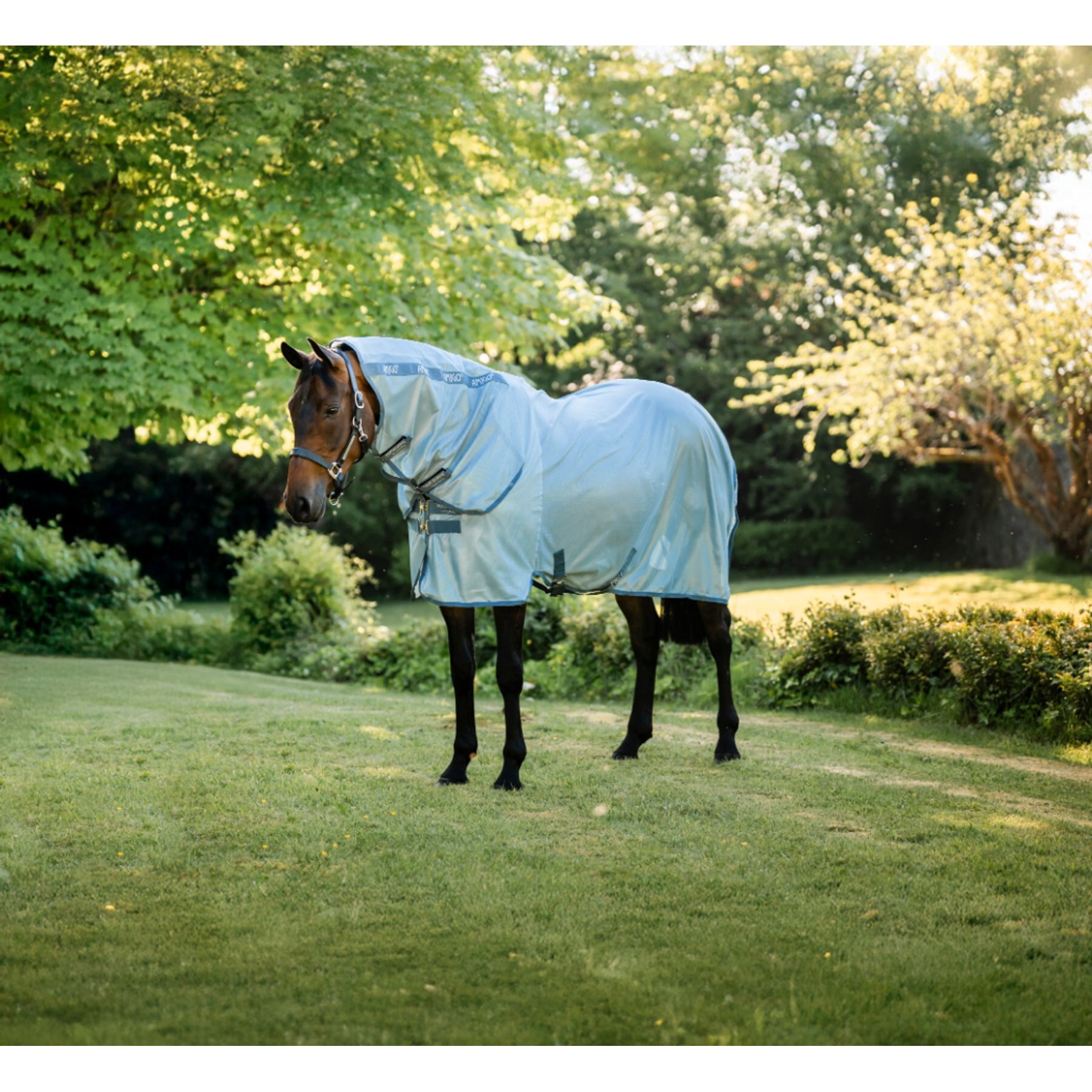 Horseware Amigo Integrated Horse Fly Sheet, Heather Blue/Blue & Silver, 87-in
