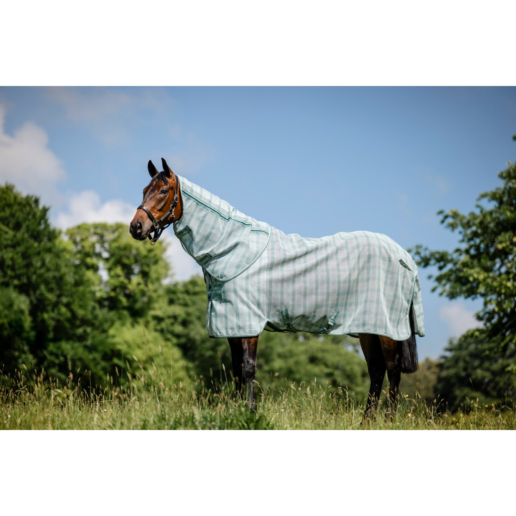 Horseware Newmarket Plus Horse Fly Sheet, Witney Dynasty, 81-in