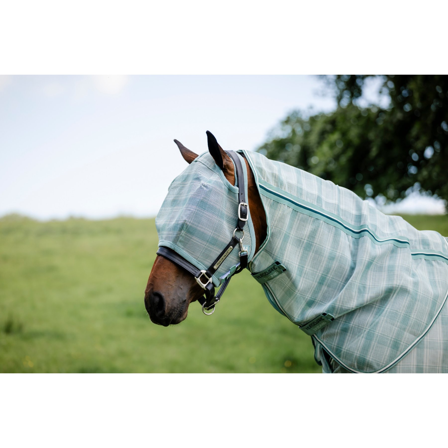 Horseware Newmarket No Ears Horse Fly Mask, Witney Dynasty, Horse