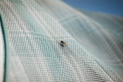 Horseware Newmarket Plus Horse Fly Sheet, Witney Dynasty, 84-in slide 2 of 4
