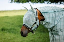 Horseware Newmarket Horse Fly Mask, Witney Dynasty, Cob