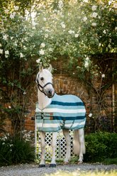 Horseware Newmarket Pony Fleece Horse Cooler, Witney Dynasty, 69-in