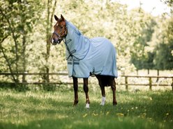 Horseware Bug Rug Plus Horse Fly Sheet, Heather Blue/Blue & Silver, 66-in