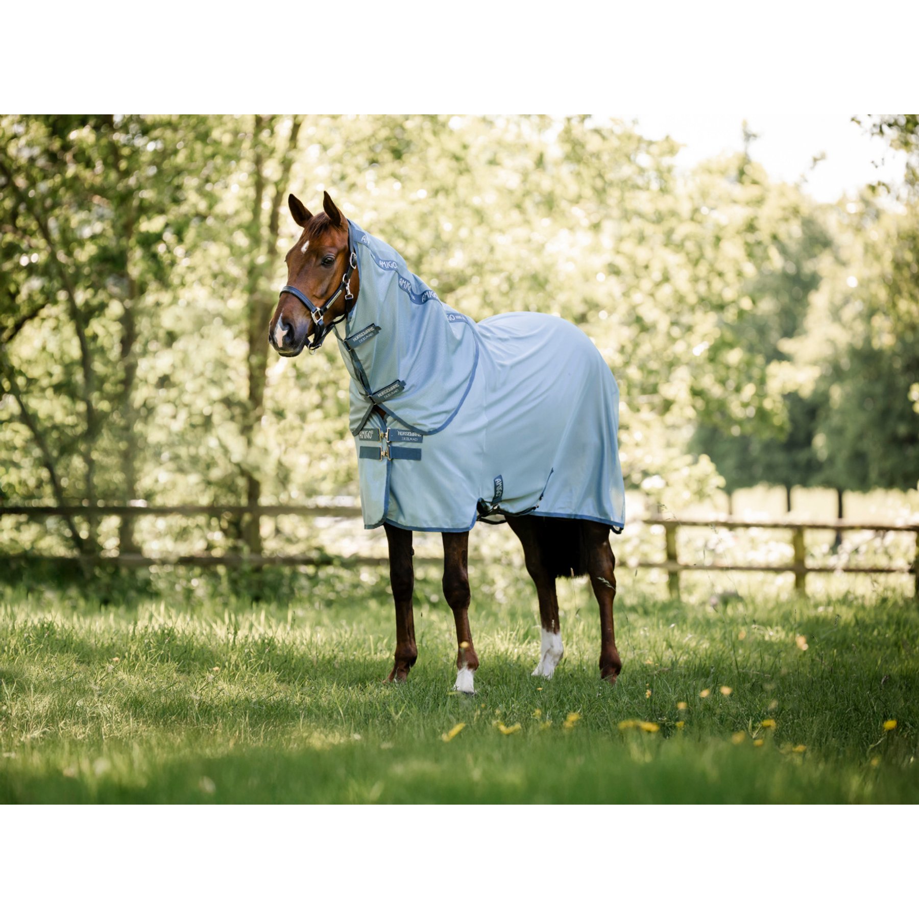 Horseware Amigo Bug Rug Plus Horse Fly Sheet, Heather Blue/Blue & Silver, 72-in