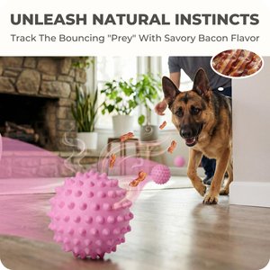 Kseroo Bacon Flavor Spiked Rubber Squeaky Tough Chew Ball Dog Toy, Pink
