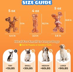 Kseroo ChienBox Bacon Flavor Nylon Dental Tough Chew Dog Toy, Orange, 3 count slide 2 of 8