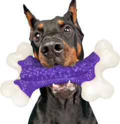 Kseroo Bacon Flavor Nylon Textured Tough Chew Dog Toy, Purple