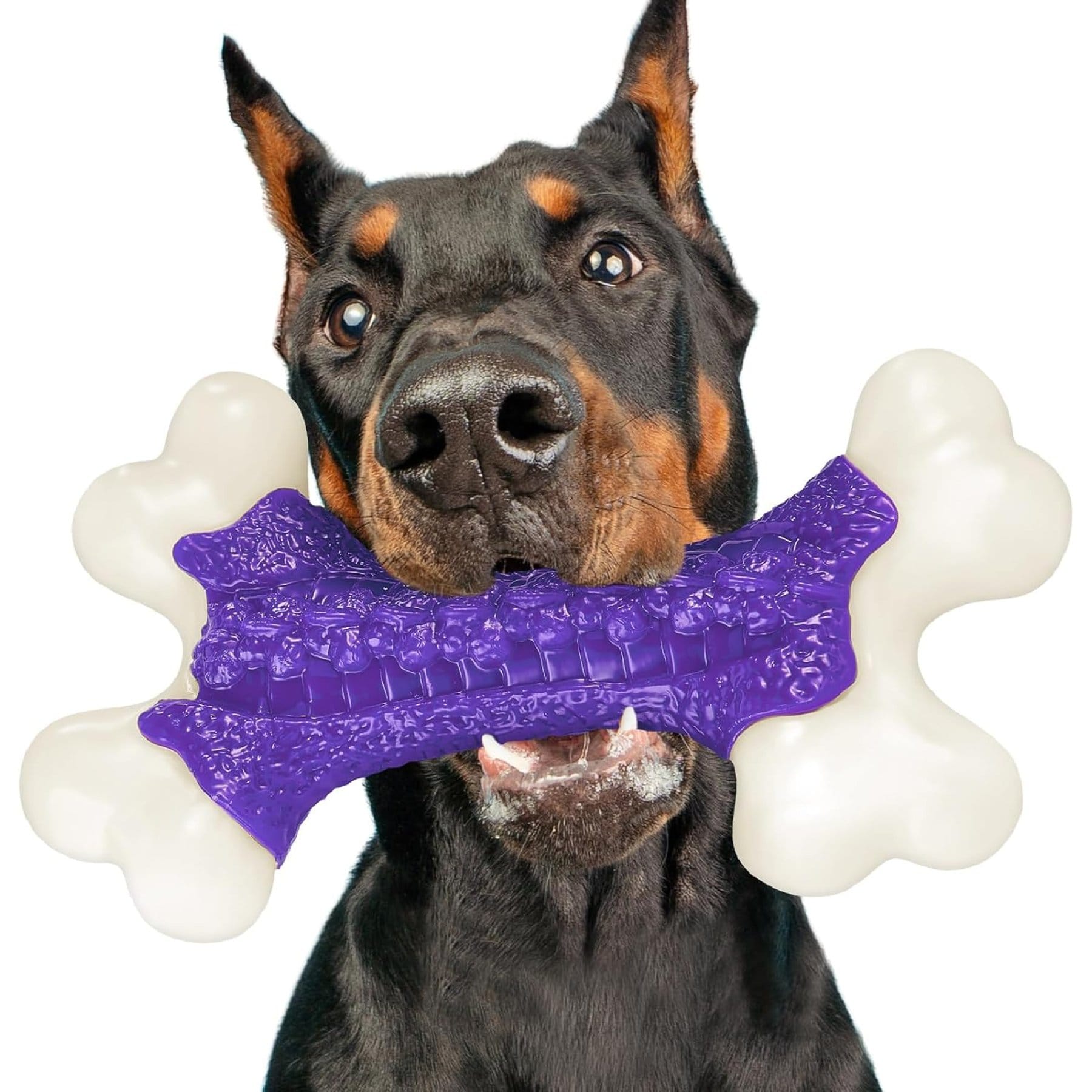 Kseroo Bacon Flavor Nylon Textured Tough Chew Dog Toy, Purple