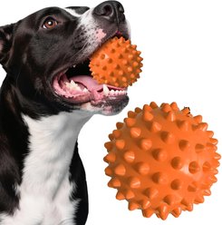 Kseroo Peanut Butter Flavor Spiked Rubber Ball Squeaky Tough Chew Dog Toy, Orange