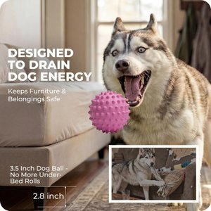 Kseroo Bacon Flavor Spiked Rubber Squeaky Tough Chew Ball Dog Toy, Pink