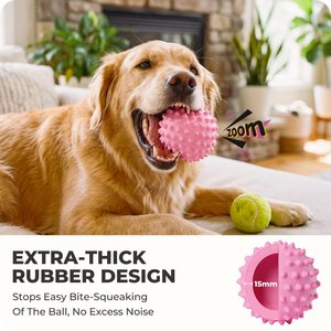 Kseroo Bacon Flavor Spiked Rubber Squeaky Tough Chew Ball Dog Toy, Pink