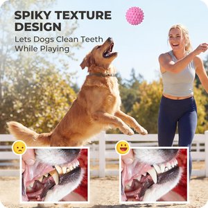 Kseroo Bacon Flavor Spiked Rubber Squeaky Tough Chew Ball Dog Toy, Pink