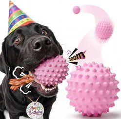 Kseroo Bacon Flavor Spiked Rubber Squeaky Tough Chew Ball Dog Toy, Pink