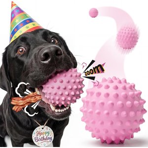 Kseroo Bacon Flavor Spiked Rubber Squeaky Tough Chew Ball Dog Toy, Pink