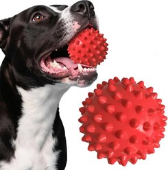 Kseroo Beef Flavor Spiked Rubber Ball Squeaky Tough Chew Dog Toy, Red