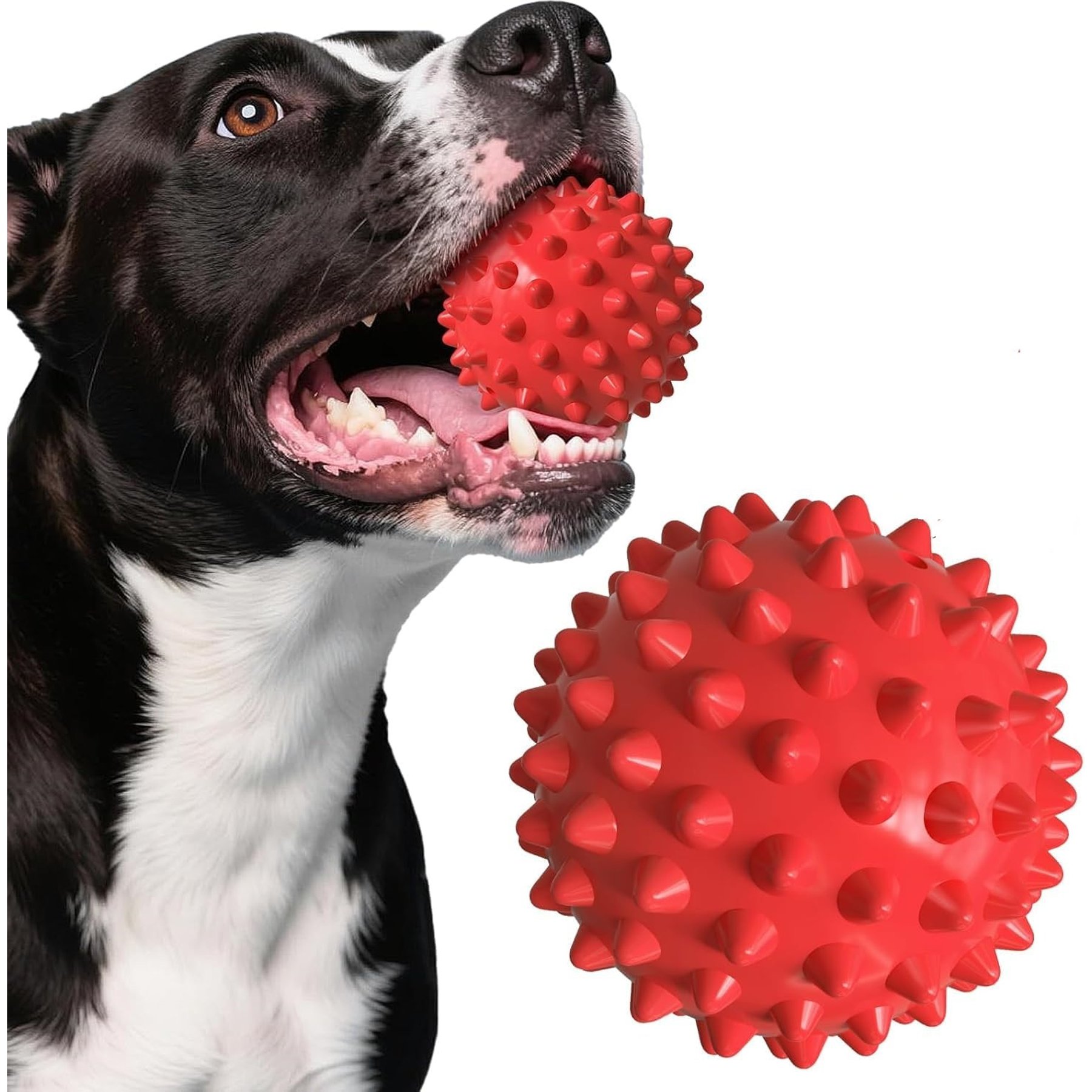 Kseroo Beef Flavor Spiked Rubber Ball Squeaky Tough Chew Dog Toy, Red