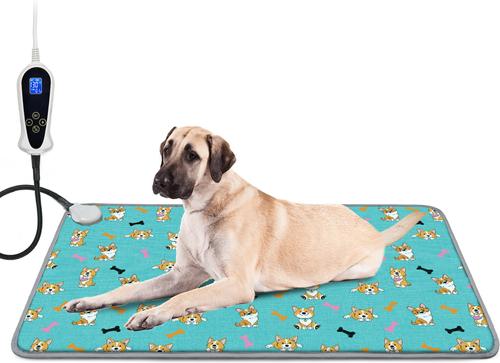 timed dog heating pad session with 15-minute timer and dog relaxation