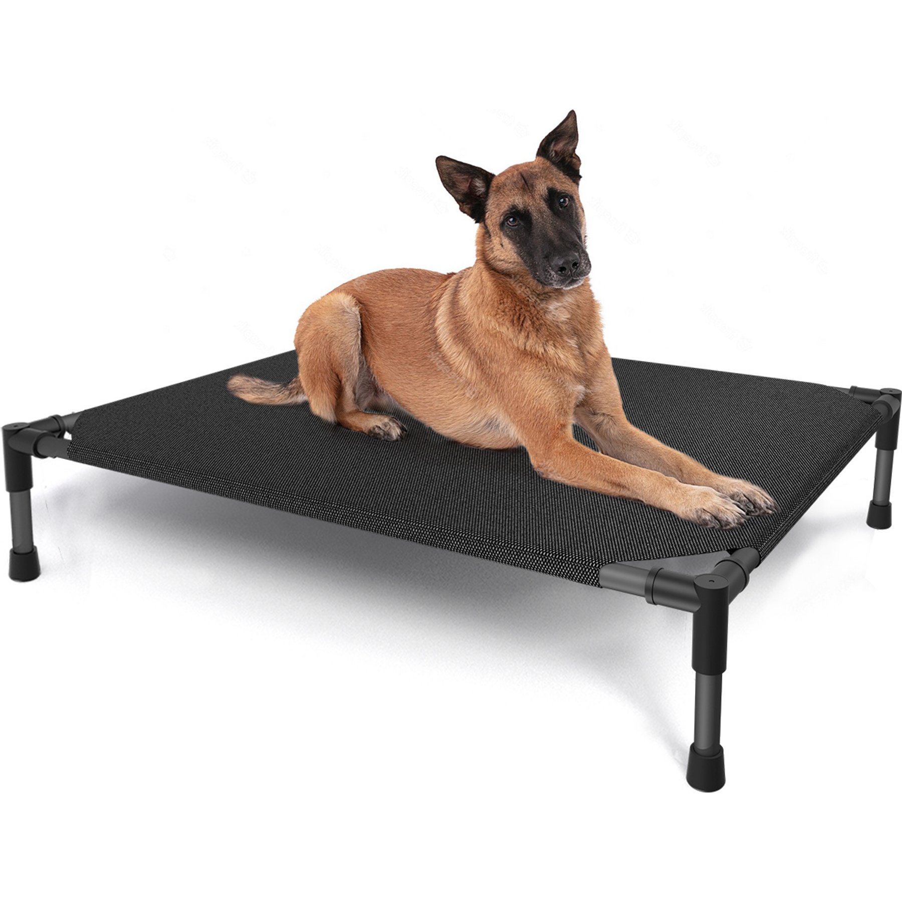 Golopet Outdoor Elevated Dog Cot Bed, Black, Medium: 42 x 30-in