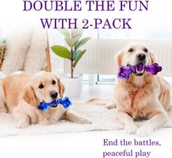 Kseroo Beef Flavor Stuffable Nylon Bone Tough Chew Dog Toy, 2 count, Green & Purple slide 2 of 6