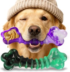 Kseroo Beef Flavor Stuffable Nylon Bone Tough Chew Dog Toy, 2 count, Green & Purple slide 1 of 6