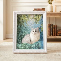 Happy & Polly 3D 19.4-in Famous Painting Cat Scratcher & Bed, Shimmering Water