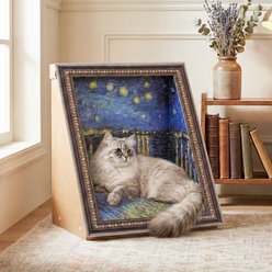 Happy & Polly 3D 19.4-in Famous Painting Cat Scratcher & Bed, Starry Night Over the Rhone