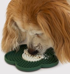 Dandylion Dog Grooming Table Lick Mat slide 2 of 2