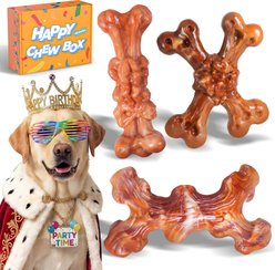 Kseroo ChienBox Bacon Flavor Nylon Dental Tough Chew Dog Toy, Orange, 3 count