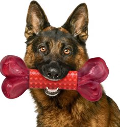 Kseroo Beef Flavor Textured Nylon Bone Tough Chew Dog Toy, Red