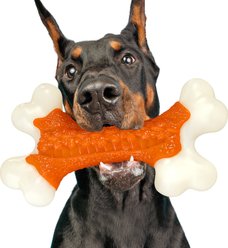 Kseroo Peanut Butter Flavor Nylon Tough Chew Dog Toy, Orange, 1 count
