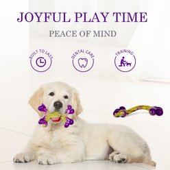 Kseroo Bacon Flavored Nylon Bone Tough Chew Dog Toy, Purple slide 2 of 7