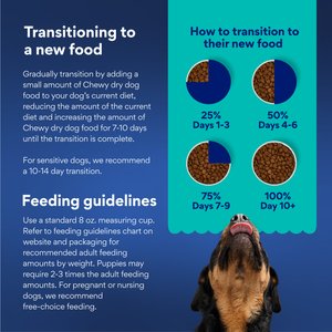 Chewy Made Complete Nutrition High Protein Grain-Free Salmon & Sweet Potato Recipe Dry Dog Food (FORMERLY AMERICAN JOURNEY), 24-lb bag