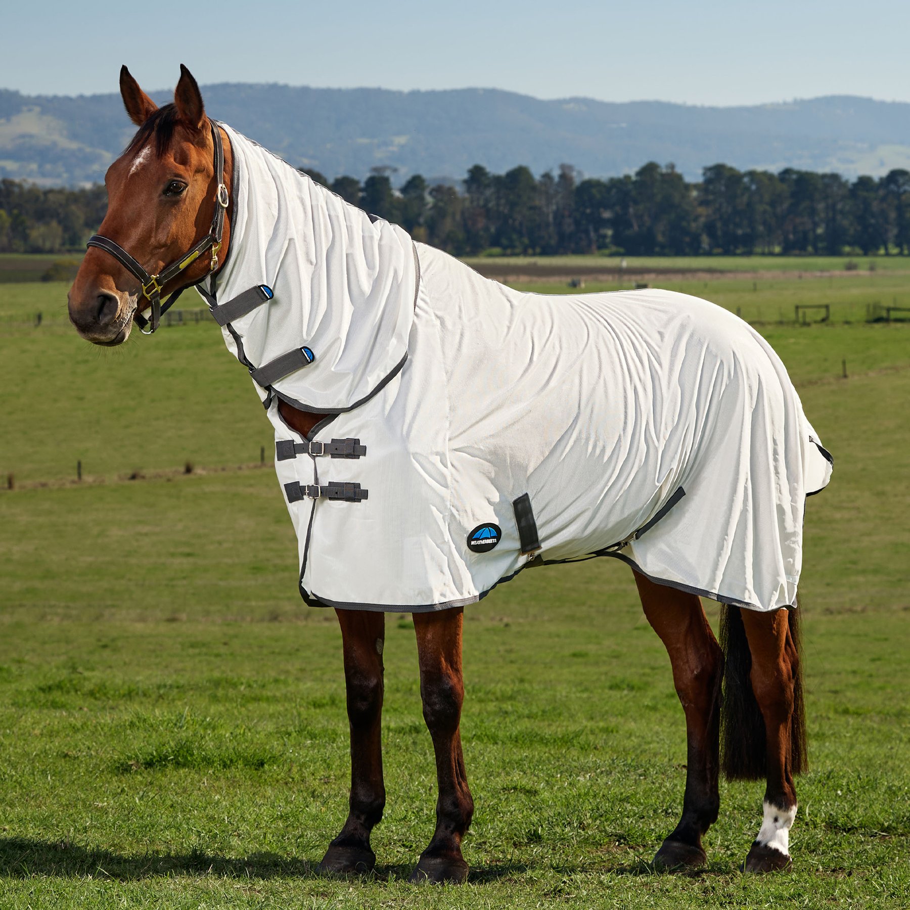 WeatherBeeta ComFiTec Tyro Horse Fly Sheet Combo, White/Charcoal, 66-in