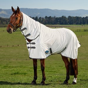 HORSEWARE Amigo Bug Buster Vamoose with No Fly Zone Horse Fly