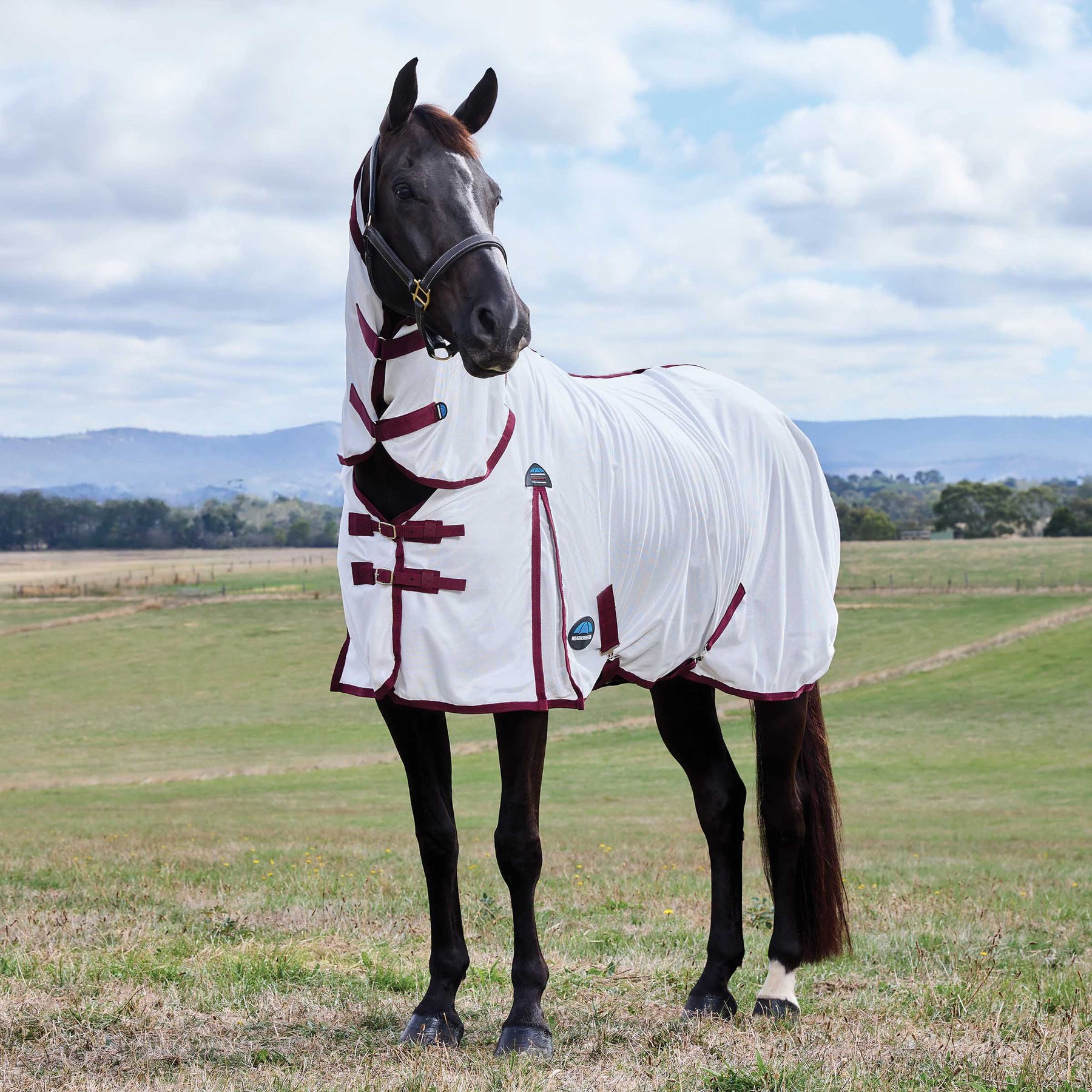WeatherBeeta ComFiTec Essential Horse Fly Sheet Combo, White/Burgundy, 51-in