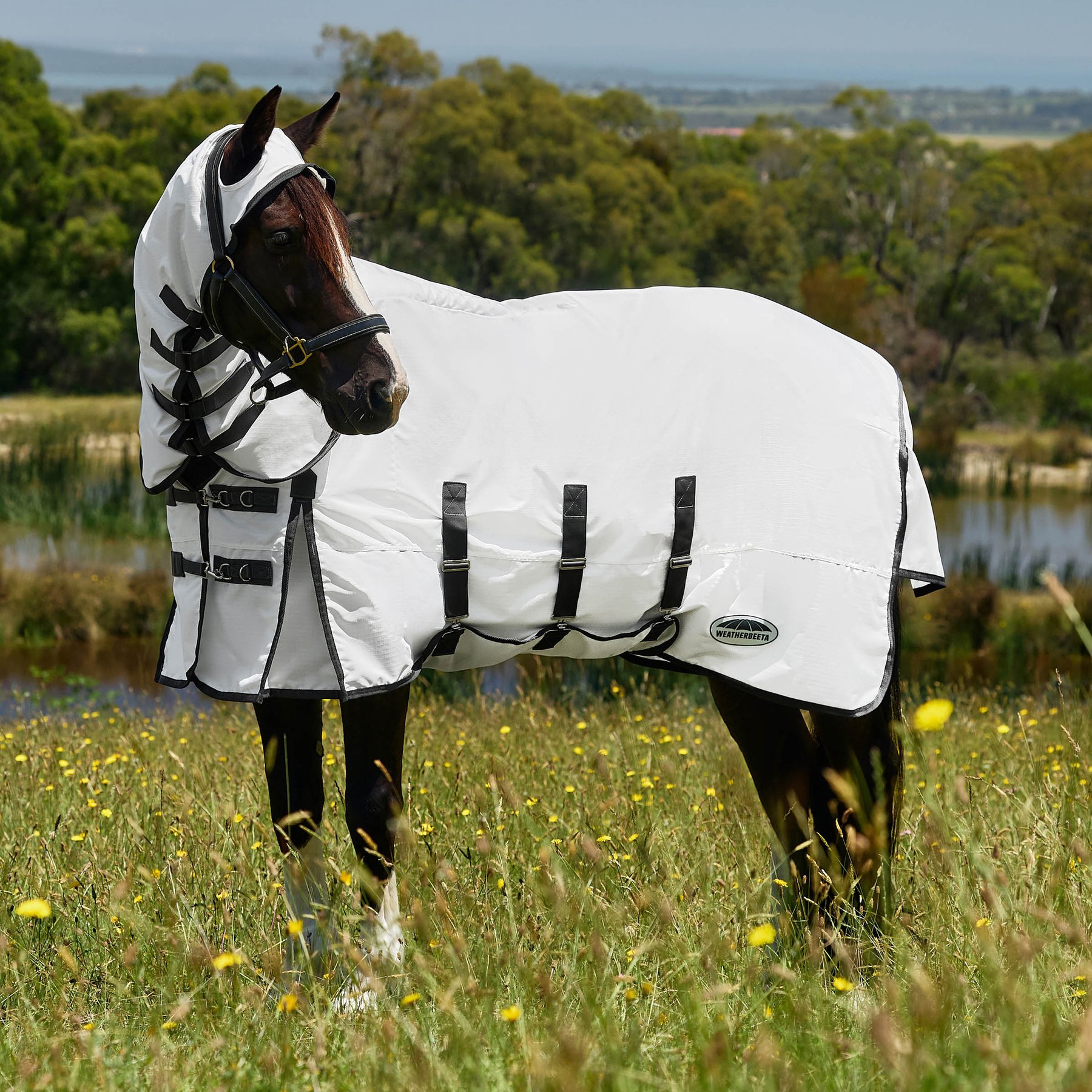 WeatherBeeta ComFiTec Sweet Itch Shield Horse Fly Sheet Combo, White/Charcoal, 60-in