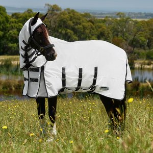 WeatherBeeta ComFiTec Sweet Itch Shield Horse Fly Sheet Combo, White/Charcoal, 69-in