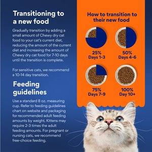 Chewy Made Turkey & Chicken Recipe Grain-Free Dry Cat Food (FORMERLY AMERICAN JOURNEY), 12-lb bag