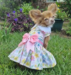 Doggie Design Pastel Meadow Dog Dress, Large slide 2 of 4