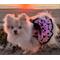 Show in main carousel: Doggie Design All Aflutter Dog Dress, Pink/Black, Large slide 4 of 4